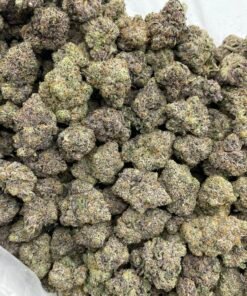 Cotton Candy Sprite Weed Strain | Sweet Citrus Hybrid Flower