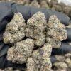 Raspberry Gobstoppers Weed Strain | Sweet Berry Candy Flower