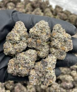 Raspberry Gobstoppers Weed Strain | Sweet Berry Candy Flower