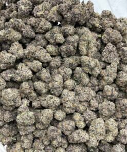 Raspberry Gobstoppers Weed Strain | Sweet Berry Candy Flower