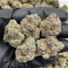 Curelato Weed Strain | Sweet Gelato-Style Hybrid Flower