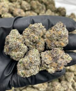 Curelato Weed Strain | Sweet Gelato-Style Hybrid Flower