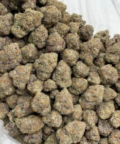 Bubblegum Zonutz Weed Strain | Sweet Candy Hybrid Flower