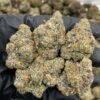Area 41 Weed Strain | Alien Labs Lemon Fuel Hybrid