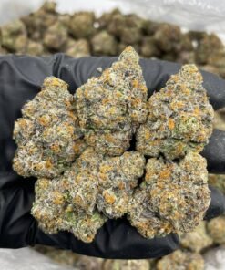 Area 41 Weed Strain | Alien Labs Lemon Fuel Hybrid