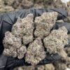 Applescotti Weed Strain | Apples and Bananas Biscotti Hybrid