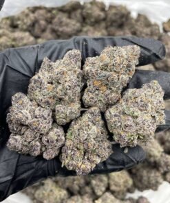 Applescotti Weed Strain | Apples and Bananas Biscotti Hybrid