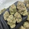 Jelly Donut Weed Strain | Sweet Dessert Hybrid Flower