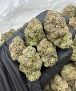 Jelly Donut Weed Strain | Sweet Dessert Hybrid Flower