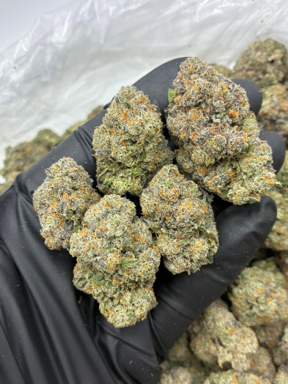 Jelly Donut Weed Strain | Sweet Dessert Hybrid Flower Jelly Donut Weed Strain | Sweet Dessert Hybrid Flower