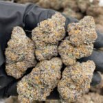 Rainbow Gelonade Weed Strain | Citrus Candy Hybrid Flower