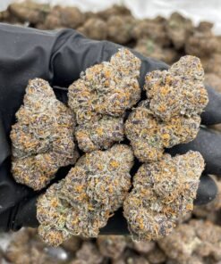 Rainbow Gelonade Weed Strain | Citrus Candy Hybrid Flower