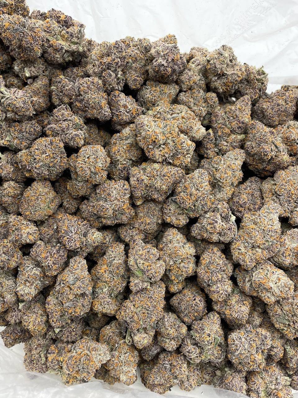 Rainbow Gelonade Weed Strain | Citrus Candy Hybrid Flower Rainbow Gelonade Weed Strain | Citrus Candy Hybrid Flower