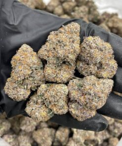 Runtz Mintz Weed Strain | Sweet Mint Diesel Hybrid Flower