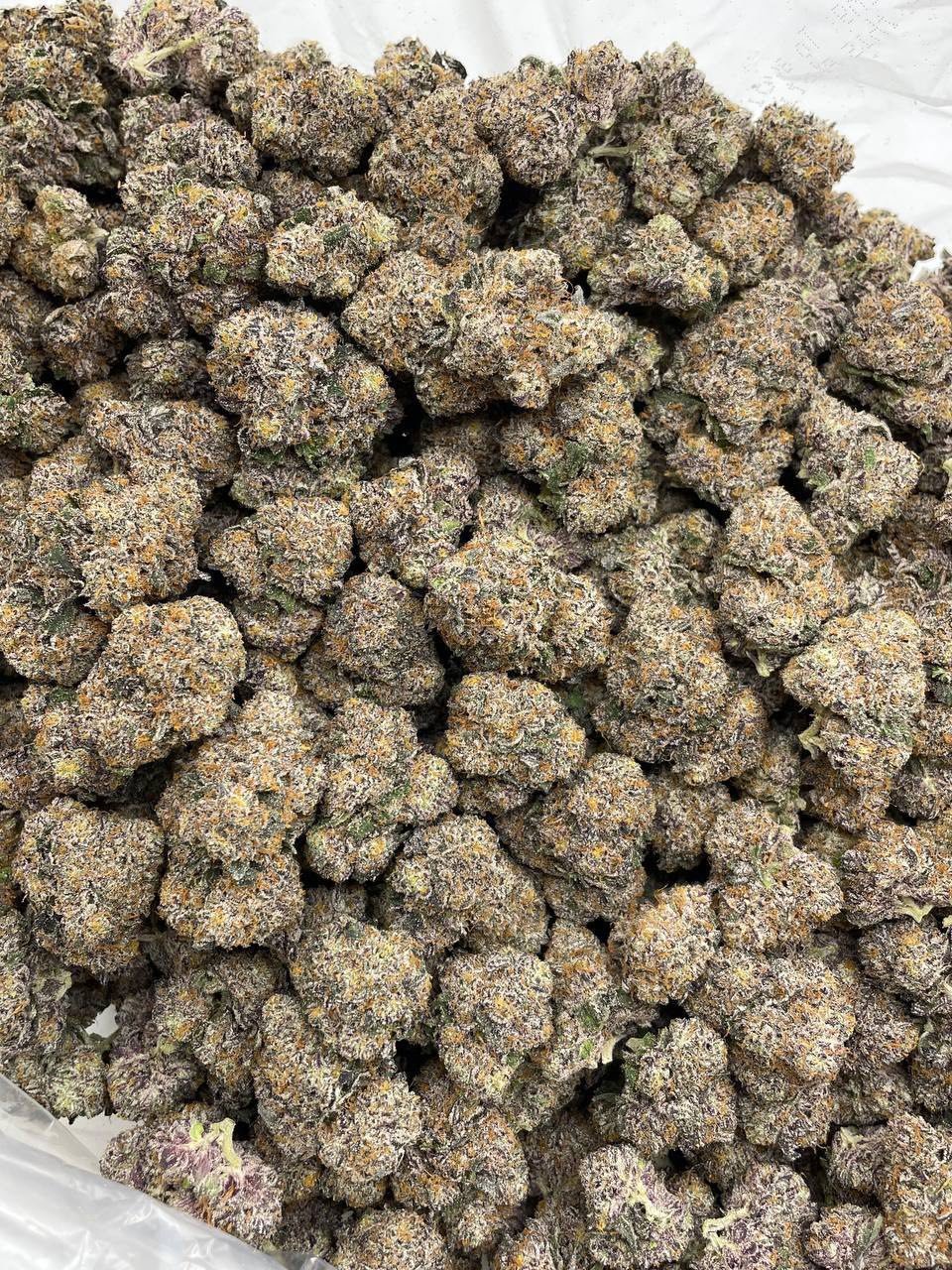 Runtz Mintz Weed Strain | Sweet Mint Diesel Hybrid Flower Runtz Mintz Weed Strain | Sweet Mint Diesel Hybrid Flower