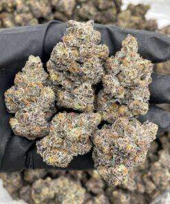 Black Cherry Sharpie Weed Strain | Dark Cherry Gas Hybrid