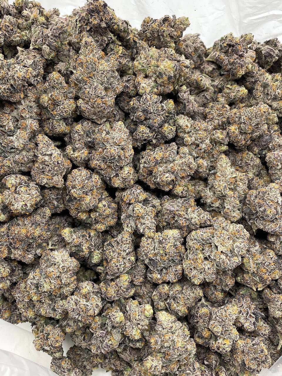 Black Cherry Sharpie Weed Strain | Dark Cherry Gas Hybrid Black Cherry Sharpie Weed Strain | Dark Cherry Gas Hybrid