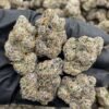 Sour Sake Weed Strain | Sour Citrus Hybrid Flower