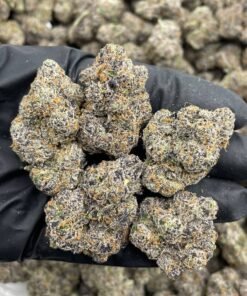 Sour Sake Weed Strain | Sour Citrus Hybrid Flower