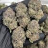 Cotton Candy Weed Strain | Sweet Lavender Hybrid Flower
