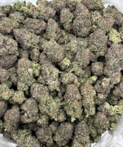 Cotton Candy Weed Strain | Sweet Lavender Hybrid Flower