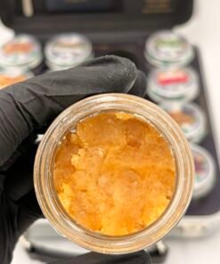 Whole Melt Extracts Passport Edition Live Resin Sugar Case