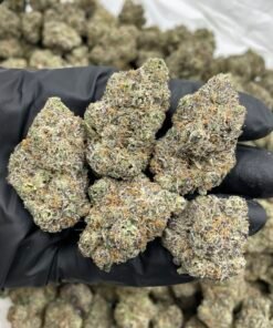 Rainbow Runtz Weed Strain | Sweet Candy Hybrid Flower