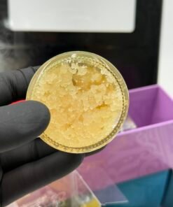Bakery Concentrate Wax Let ’Em Cook Edition | 1oz Jar Collection