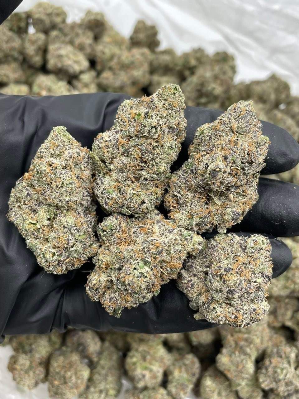 Rainbow Runtz Weed Strain | Sweet Candy Hybrid Flower Rainbow Runtz Weed Strain | Sweet Candy Hybrid Flower