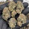Rainbow Poppers Weed Strain | Fruity Candy Hybrid Flower
