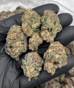 Rainbow Poppers Weed Strain | Fruity Candy Hybrid Flower