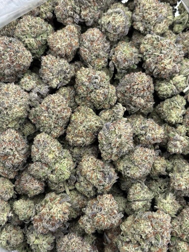 Zanimal Crackers Weed Strain | Candy Cookie Hybrid Flower Zanimal Crackers Weed Strain | Candy Cookie Hybrid Flower