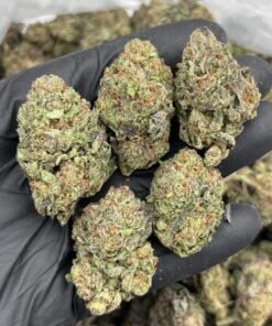 Candy Runtz Weed Strain | Sweet Candy Hybrid Flower