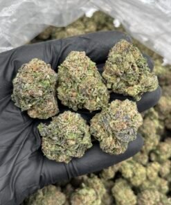 Cherry Poprox Weed Strain | Cherry Candy Hybrid Flower