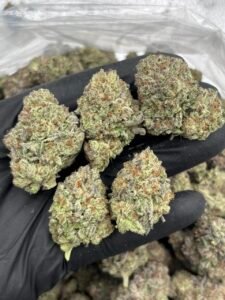 Frosted Donuts Weed Strain | Sweet Dessert Hybrid Flower