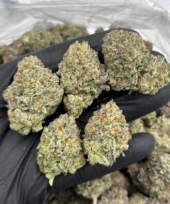 Frosted Donuts Weed Strain | Sweet Dessert Hybrid Flower