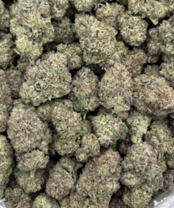 Frosted Donuts Weed Strain | Sweet Dessert Hybrid Flower