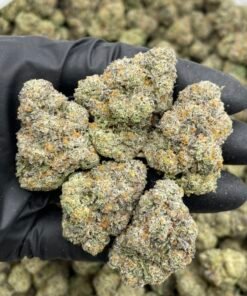 Frosted Flakes Weed Strain | Sweet Cereal Hybrid Flower