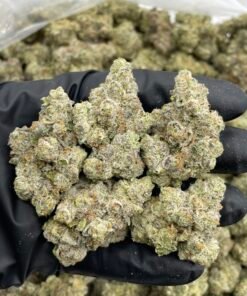 Blue Cream Soda Weed Strain | Blueberry Cream Hybrid Flower