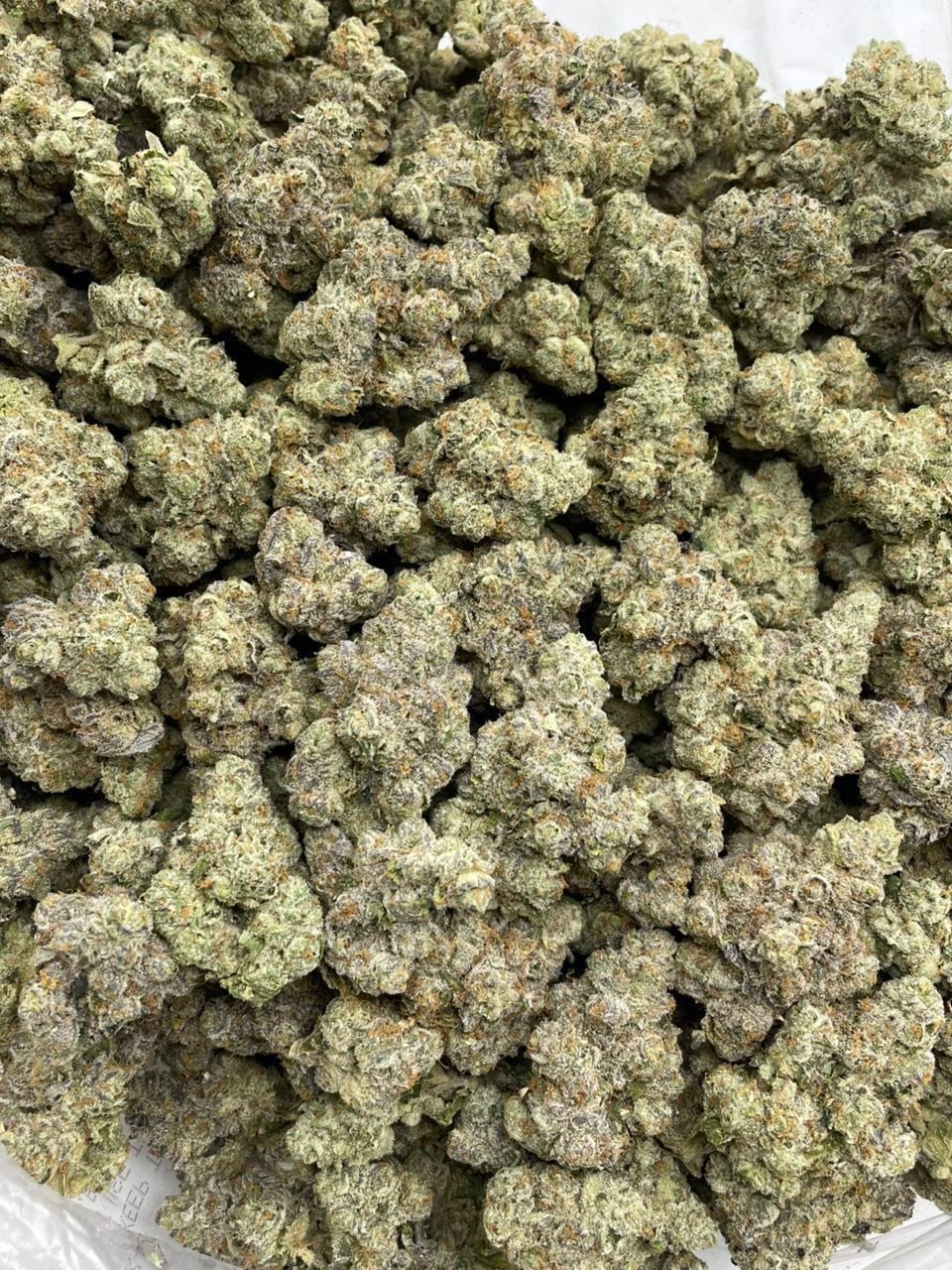 Blue Cream Soda Weed Strain | Blueberry Cream Hybrid Flower Blue Cream Soda Weed Strain | Blueberry Cream Hybrid Flower