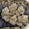 Party Popperz Weed Strain | Candy Gas Hybrid Flower