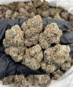 Party Popperz Weed Strain | Candy Gas Hybrid Flower