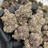Neon Nerdz Weed Strain | Blue Nerdz × Tamalez Hybrid