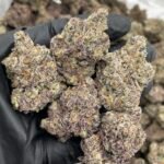 Neon Nerdz Weed Strain | Blue Nerdz × Tamalez Hybrid