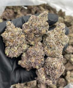 Neon Nerdz Weed Strain | Blue Nerdz × Tamalez Hybrid