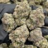 Gorilla Gruntz Weed Strain | Candy Gas Hybrid Flower