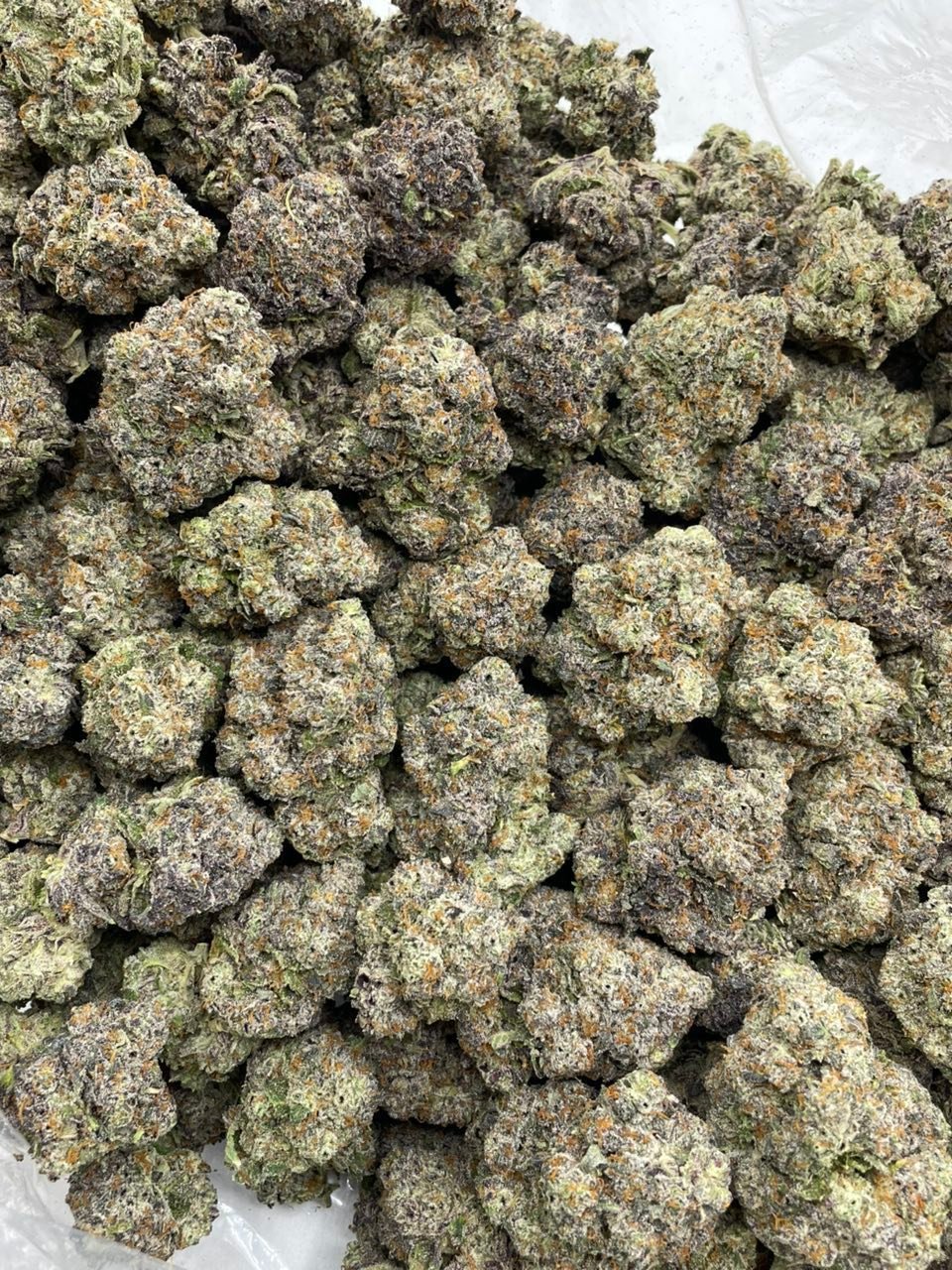 Gorilla Gruntz Weed Strain | Candy Gas Hybrid Flower Gorilla Gruntz Weed Strain | Candy Gas Hybrid Flower