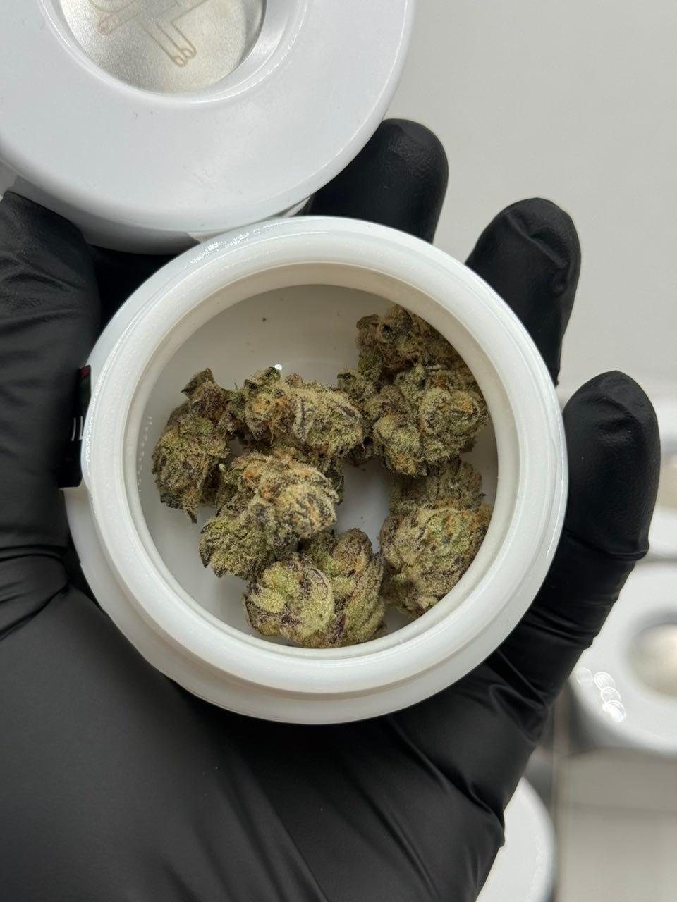 Open 710 Labs cannabis flower jar with buds Open 710 Labs cannabis flower jar with buds