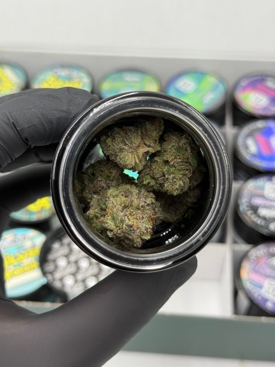 Alien Labs Permanent Shade cannabis flower buds in open jar Alien Labs Permanent Shade cannabis flower buds in open jar