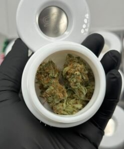 CBX Cannabiotix premium cannabis flower close-up